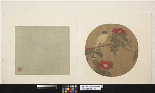 明宣德寶繪　冊　壽帶茶花