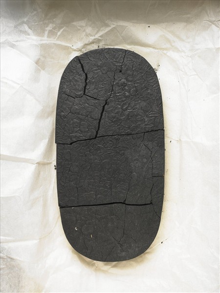 「春華秋實」御墨