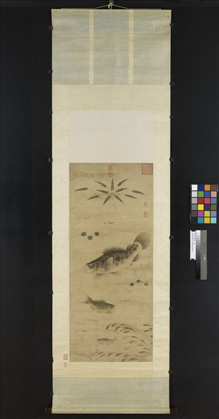 元人魚藻圖　軸