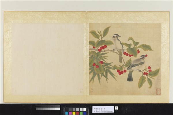 明仇英花鳥　冊　櫻桃