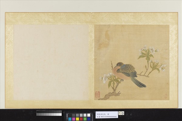 明仇英花鳥　冊　梨花斑鳩