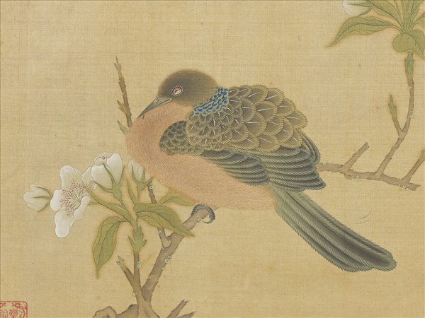 明仇英花鳥　冊　梨花斑鳩