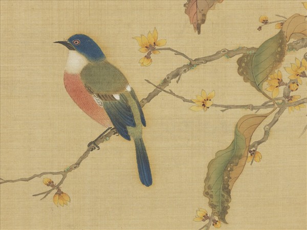 明仇英花鳥　冊　蠟梅紅葉