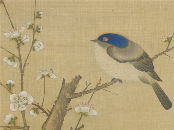 明仇英花鳥　冊　梅雀