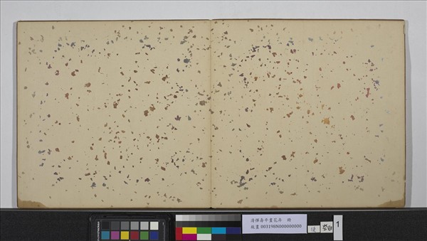 清惲壽平畫花卉　冊