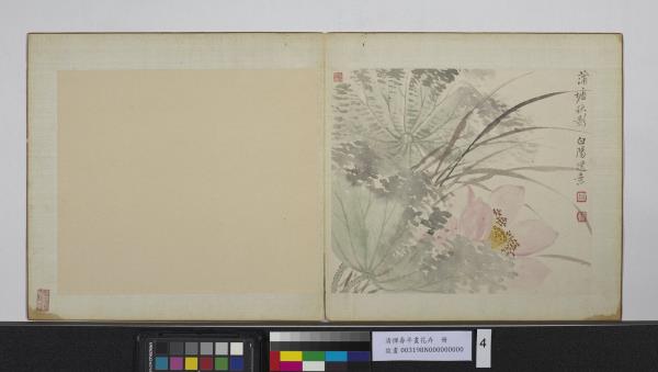 清惲壽平畫花卉冊蒲塘秋影- 故宮