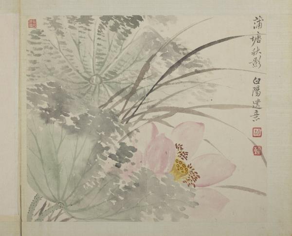 清惲壽平畫花卉冊蒲塘秋影- 故宮