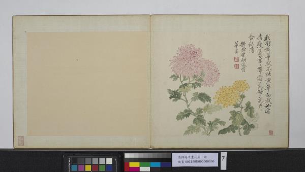 清惲壽平畫花卉　冊　擬徐崇嗣沒骨華