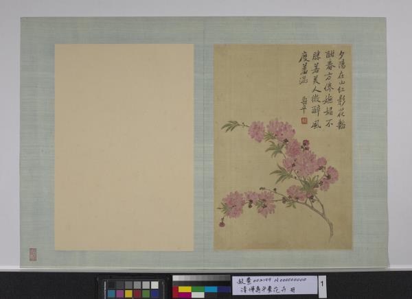 清惲壽平畫花卉　冊　碧桃