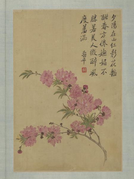 清惲壽平畫花卉　冊　碧桃