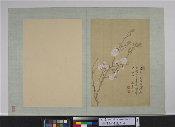 清惲壽平畫花卉冊杏花- 故宮