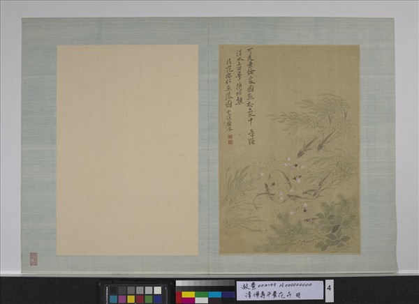 清惲壽平畫花卉　冊　魚藻