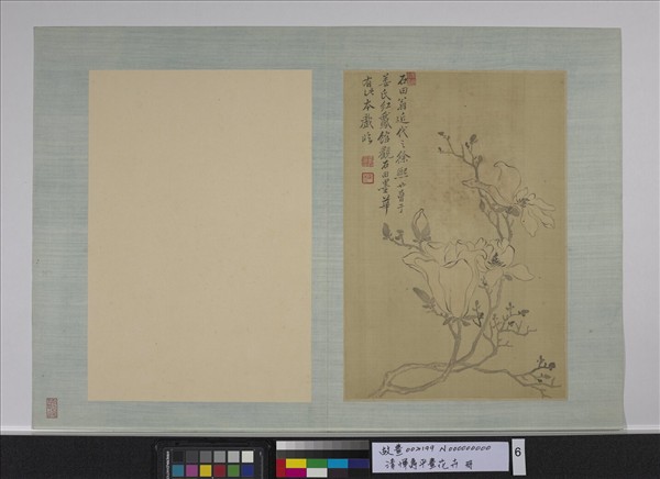 清惲壽平畫花卉　冊　木蘭