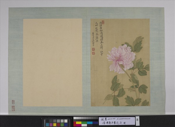 清惲壽平畫花卉冊牡丹- 故宮