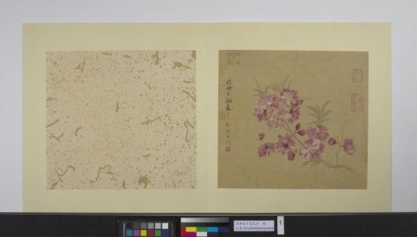 清惲壽平畫花卉冊臨徐崇嗣春風圖- 故宮