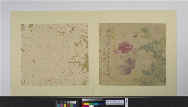 清惲壽平畫花卉　冊　罌粟