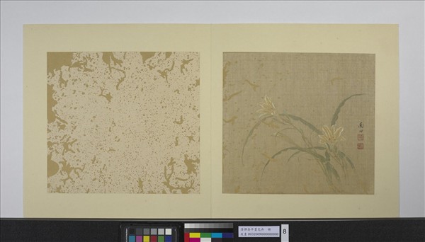 清惲壽平畫花卉　冊　萱花