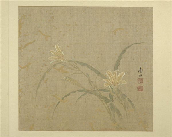 清惲壽平畫花卉　冊　萱花