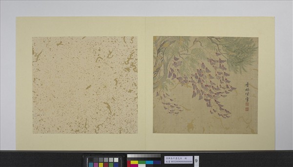 清惲壽平畫花卉　冊　紫藤