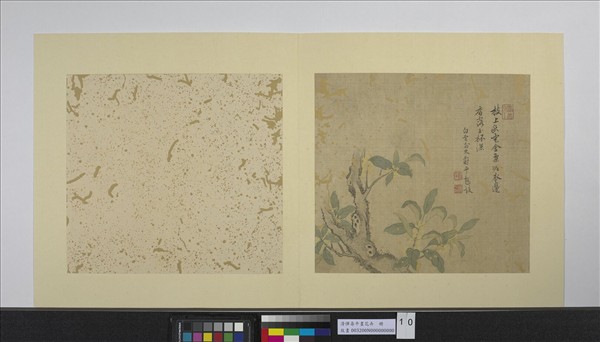 清惲壽平畫花卉　冊　桂花