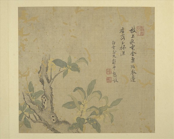 清惲壽平畫花卉　冊　桂花