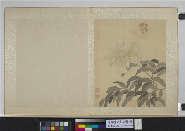 清惲壽平魚藻圖　冊　牡丹