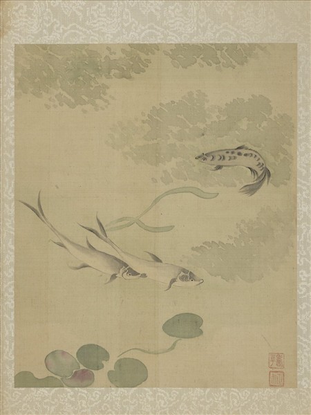 清惲壽平魚藻圖　冊　魚藻