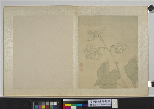 清惲壽平魚藻圖　冊　玉簪花