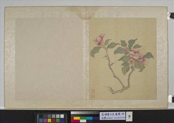 清惲壽平魚藻圖冊茶花- 故宮