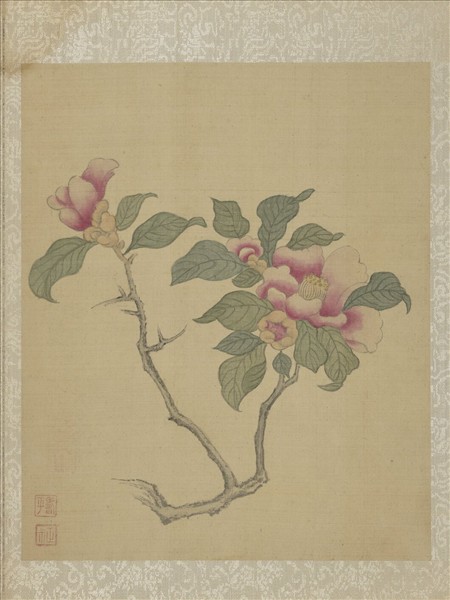 清惲壽平魚藻圖冊茶花- 故宮