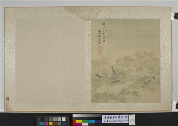 清惲壽平魚藻圖　冊　蝦藻