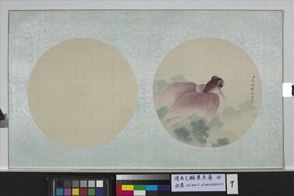 清馬文麟畫魚藻　冊　金魚