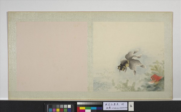 無名氏畫魚　冊　金魚二