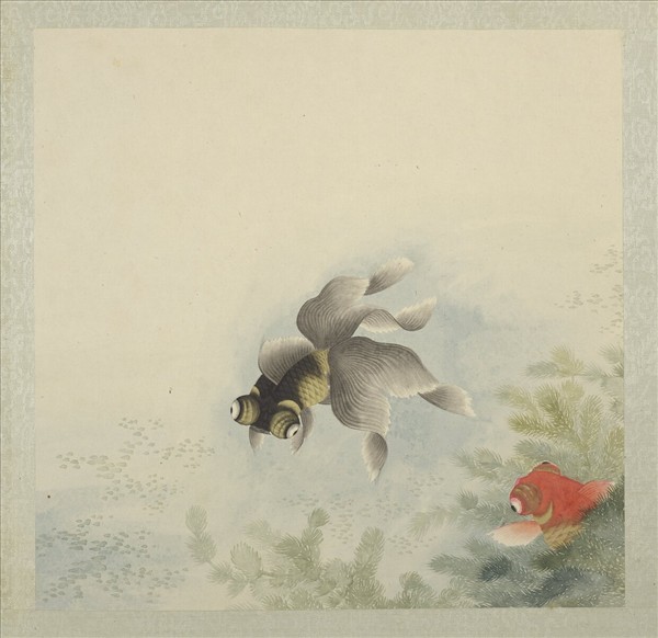 無名氏畫魚　冊　金魚二