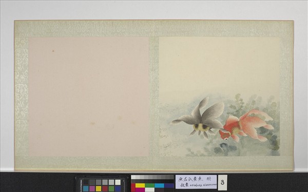 無名氏畫魚　冊　金魚三