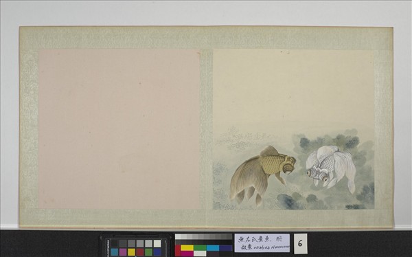 無名氏畫魚　冊　金魚六