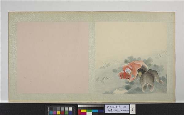 無名氏畫魚　冊　金魚七