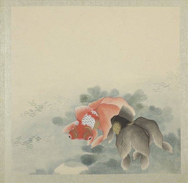 無名氏畫魚　冊　金魚七