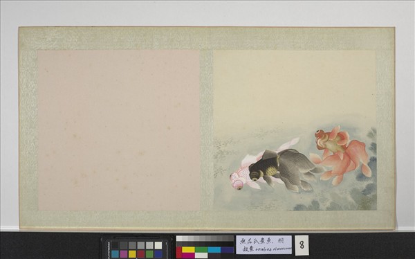 無名氏畫魚　冊　金魚八