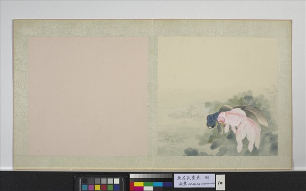 無名氏畫魚　冊　金魚十