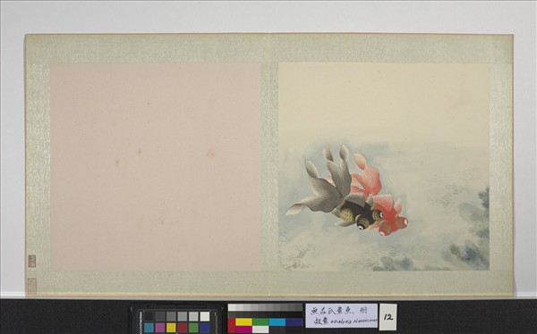 無名氏畫魚　冊　金魚十二