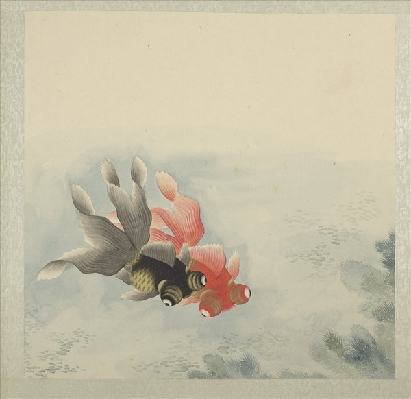 無名氏畫魚　冊　金魚十二