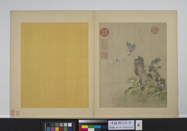 清繡繪花鳥　冊　菊花飛蝶