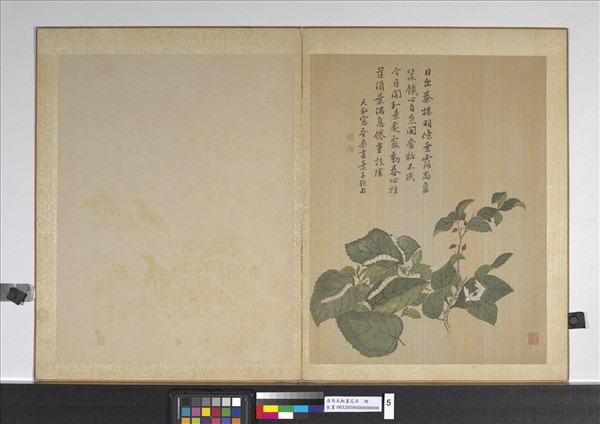 清馬元馭畫花卉　冊　桑椹蠶蛾