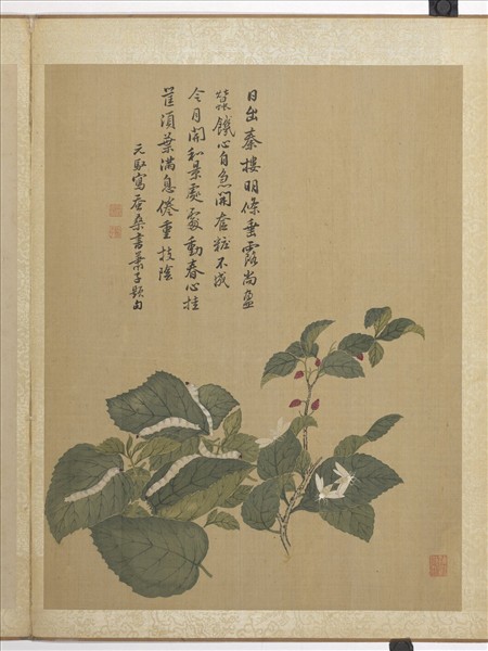 清馬元馭畫花卉　冊　桑椹蠶蛾
