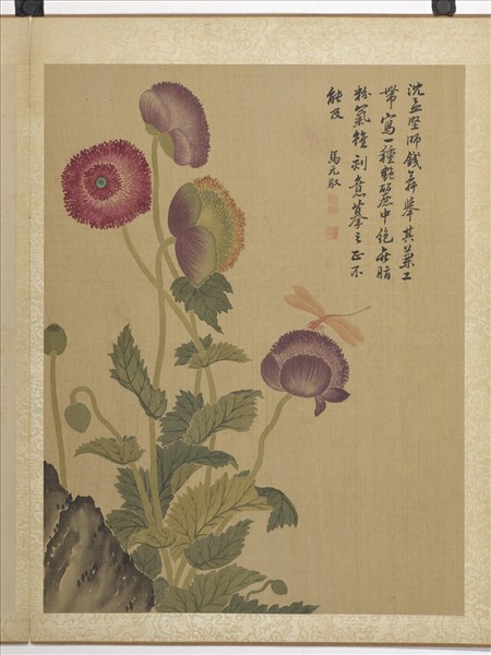 清馬元馭畫花卉　冊　罌粟蜻蜓