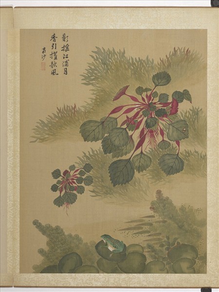 清馬元馭畫花卉　冊　菱角青蛙