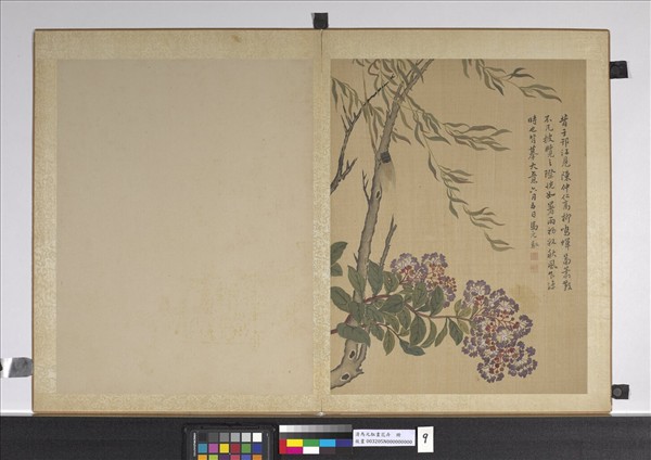 清馬元馭畫花卉　冊　楊柳紫薇