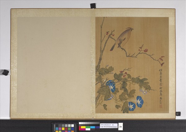 清馬元馭畫花卉　冊　牽牛雀鳥