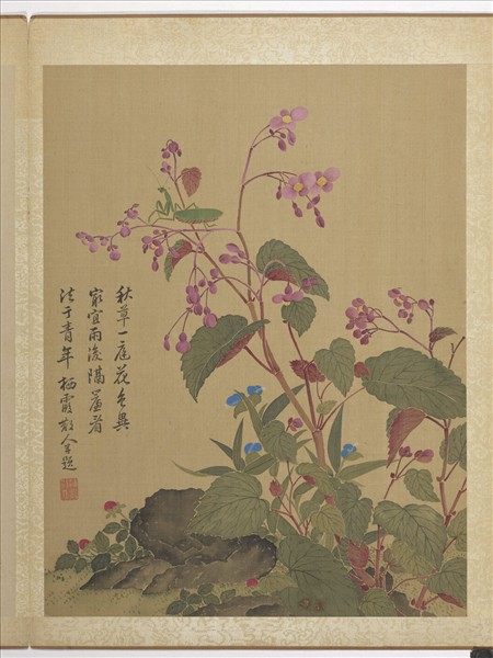 清馬元馭畫花卉　冊　海棠螳螂